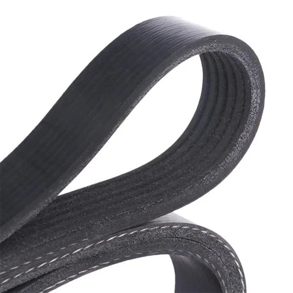 RIDEX 305P0082 V-ribbed belt - Image 3